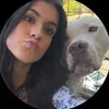 @7286399324367799338