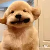 @d1884670bt7
