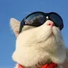 @yyy13540mx8