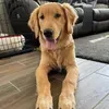 @7292058537105998891