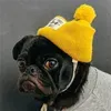 @7305479110700729390