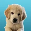 @7308199728809952302