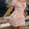 @DarkSkinCurvyFit