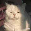 @kts1eepy