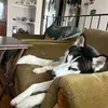 @7316872526386250794
