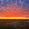 @7321132908415075370