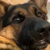 @7322273788811674666