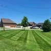 @7334117952062735402