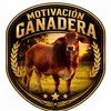 @7335253814004696107