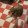 @7351820715703256110
