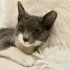 @7355906353561388075