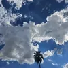 @7360891255054124074