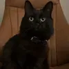 @7364344177361454122