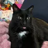 @7369649431450846238