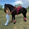 @7374454806076048430