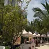 @7374464262821315626
