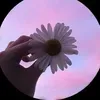 @7377622265091261486
