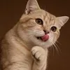 @7385732149557920811