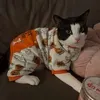 @7386100378636911662