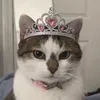 @7397603898390217774