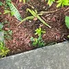 @7400680871434650670