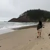 @7401299975264764970