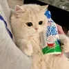 @noihhqhse9d