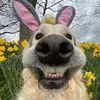 @lovable2348