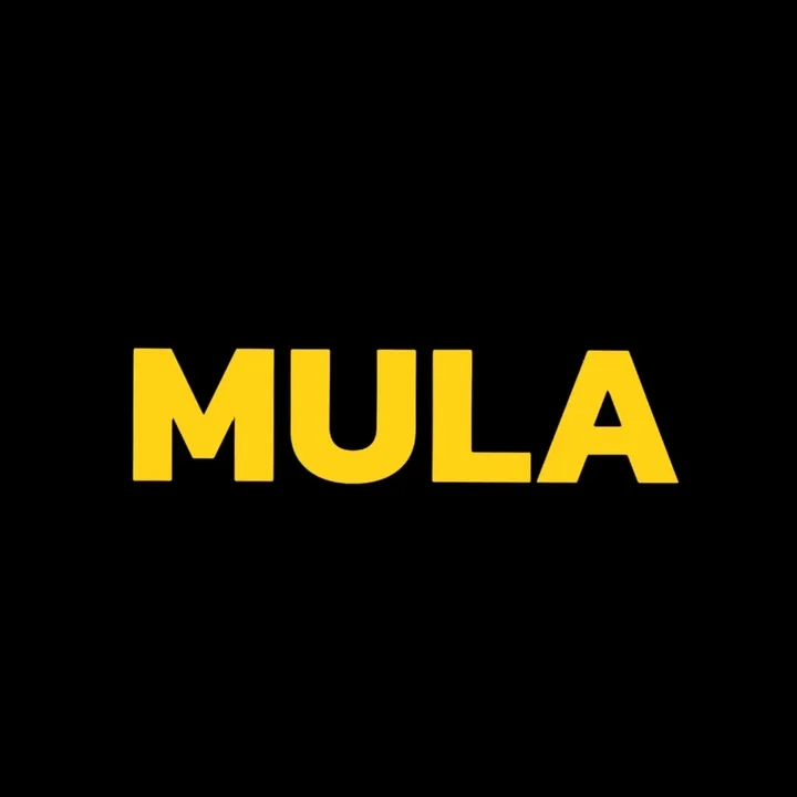 @mulaxyu