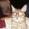 @7432634711712547886