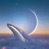@7433671645581149226