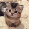 @nojkujknwhi