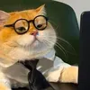 @7439663269774132270