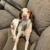 @7440189687981540398