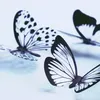 @7442803729633379371