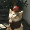 @7445122020696163371
