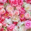@7446208420813194286