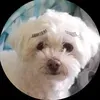 @7446681613502940202