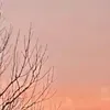 @7456100044220007467