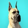 @7456247869664298030