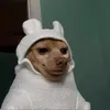 @dgtltech_