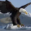 @7471051221316371487
