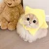 @7477422956060591150