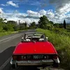 @like.potatotornado