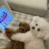 @7481955490156266538