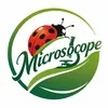 @miniexplorer6