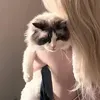 @7485031846427247659