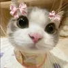 @ꨄ︎