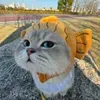 @7489139644246131754