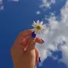 @7489301942039577646